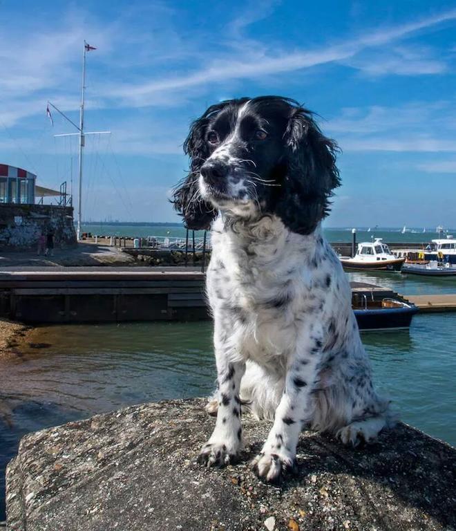 Gray'S Inn Cowes  Kültér fotó